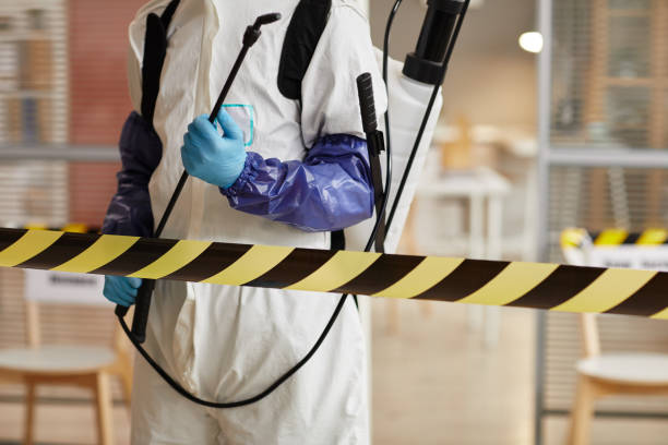 Professional Odor Removal technician working in Clarksville, MI